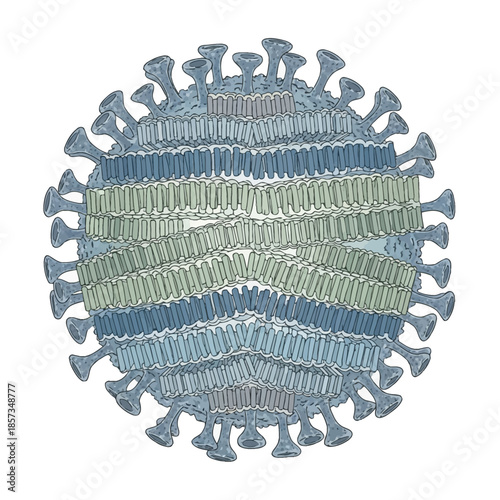 Coronavirus Particle Structure Isolated on White.