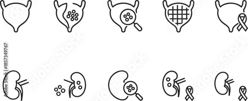 Outline Vector Icon Set Representing Urology Health Kidney Function Bladder Diagnostics Nephrology Medical Research and Urinary System Disease Awareness
