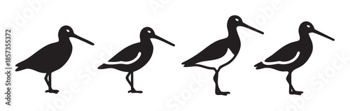 Four black shorebirds with long beaks stand in a row, depicted as simple graphic silhouettes, perfect for nature or wildlife themes.