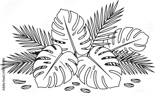 Tropical leaves layout monstera and palm leaves arranged as if lying flat on the ground, natural spacing, botanical realism, crisp black outline vector illustration
