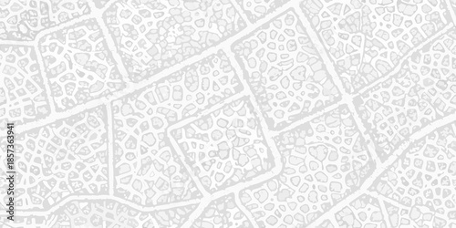 Abstract grayscale pattern resembling a cellular or cracked earth texture