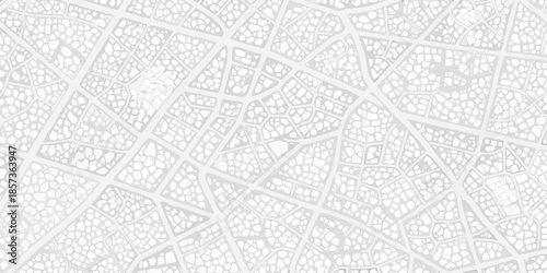 Intricate patterns of a translucent leaf skeleton against a pale background