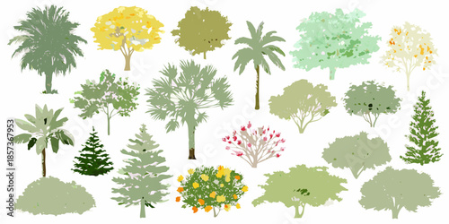 A collection of diverse tree types and foliage in varying shades