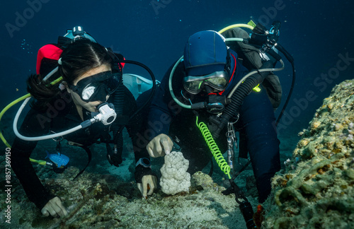 Wallpaper Mural scuba divers exploring a reef in the southern Andaman Sea Torontodigital.ca