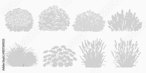 Collection of different shrub and ornamental grass silhouettes in grayscale