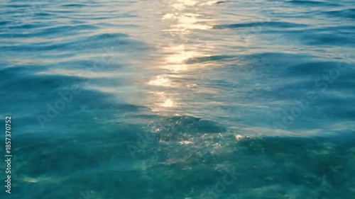 Underwater Light Play ocean reflections summer Submerged perspective looking upwards, capturing radiant sunbeams penetrating the water and reflecting off the sandy seabed or suspended particles.