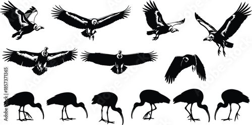 artial Arts Silhouettes Set, Karate, Taekwondo, or Judo Fighters Black Icons, Sport Training, Kick, Punch, Fighting, Defense Vector Collection