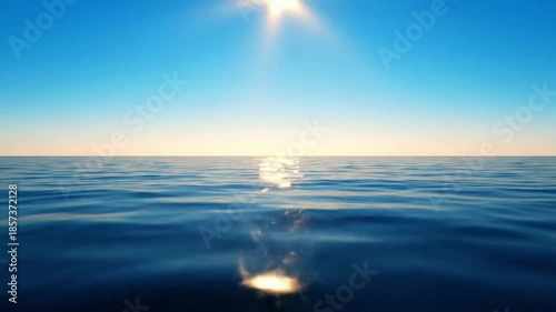 Embracing the Serene Beauty of Autumn: Amber Glow in Woodland Forest