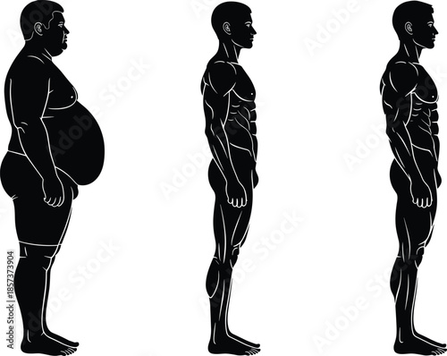 Male body transformation silhouette, overweight to fit comparison, weight loss progress, fitness anatomy illustration, healthy lifestyle concept, before after