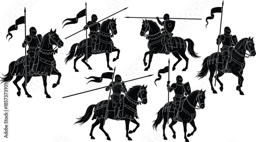 Large Bird Silhouettes Collection, Flying and Wading Species Vector Icons, Stork, Heron, Vulture, Ibis, Diverse Wildlife, Avian Graphics Set