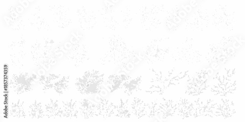 Delicate floral arrangement with light gray and white botanical elements