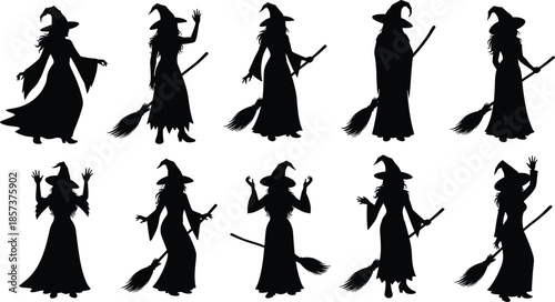 Vulture and Ibis Bird Silhouettes Set, Flying Predator and Wading Species Vector Icons, Wild Avian Wildlife Collection, Scavenger, Nature Graphics