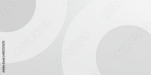 Abstract minimalist white and gray curve modern background. texture white pattern. vector illustration