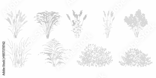 A collection of grayscale silhouettes depicting various types of foliage and plants