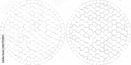 Two circular patterns composed of numerous small hexagonal shapes are shown