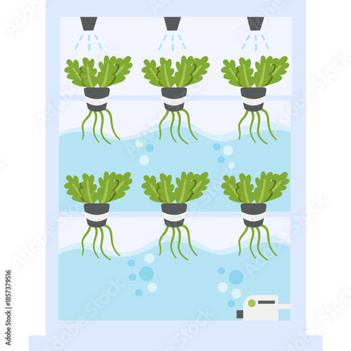 Hydroponics System with Plants