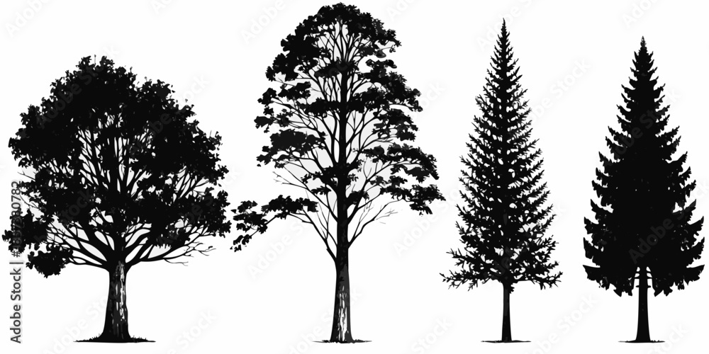 Fototapeta premium Silhouettes of various tree types deciduous and coniferous forms showcased