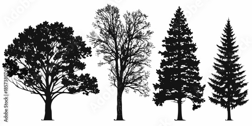 Silhouettes of diverse trees oak birch pine and spruce in a row