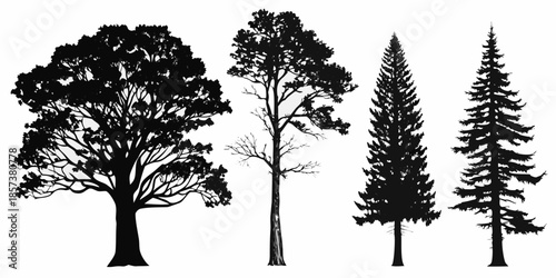 Silhouetted trees in a line a collection of different tree types