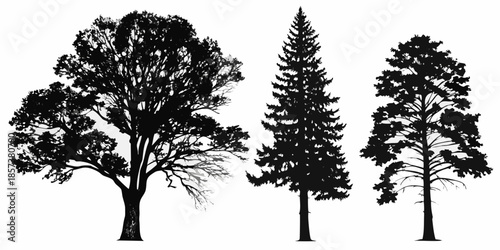 Silhouettes of diverse trees against a white backdrop showcasing natural forms