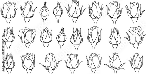 Black and White Line Art Rose Buds and Flowers Collection. Detailed Botanical Outlines for Nature, Gardening, Floral Design, Spring Decoration, Beauty, and Romance Illustrations