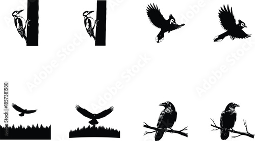 Collection of woodpecker silhouettes in various poses