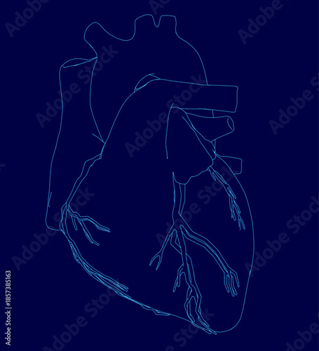A detailed human heart contour in blue stands out against a dark background. The anatomical illustration emphasizes intricate vascular structures and muscular texture.