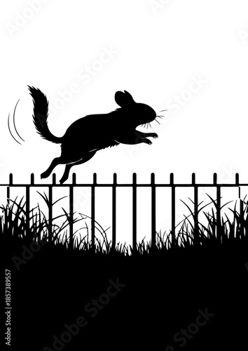 Silhouette of Chinchilla Jumping Over Fence