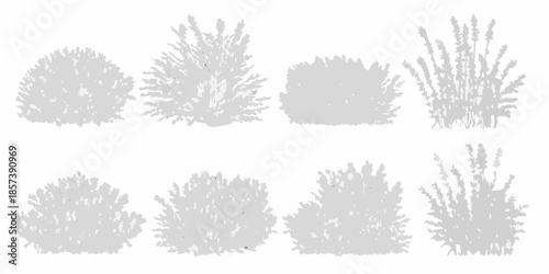 Collection of grey silhouettes depicting various shapes of bushes and shrubbery
