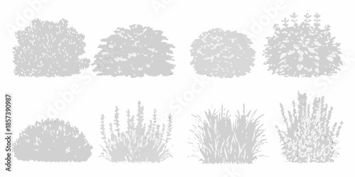 Collection of silhouetted shrubs and ornamental grasses in varying shapes
