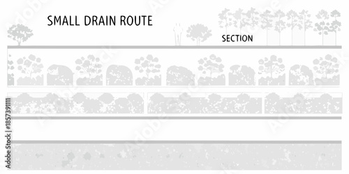Schematic illustration of a small drain route through a forested area