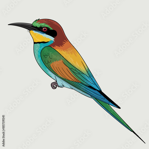 An artistically rendered bird showcases vibrant colors and intricate feather patterns, capturing the beauty of nature and avian life in a stunning illustration.