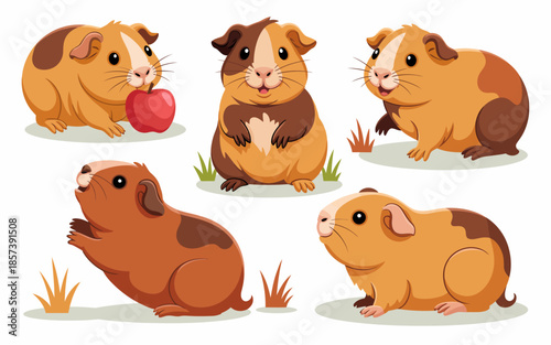 This charming image showcases five adorable guinea pigs, each exhibiting unique poses and expressions, providing a delightful glimpse into their playful and social nature.
