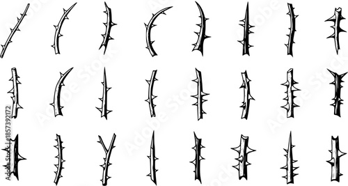 Nature-inspired Black and White Line Art Set: Hand-drawn vector collection of various thorny branches and sharp spikes, ideal for organic design elements, danger themes, or rustic illustrations.