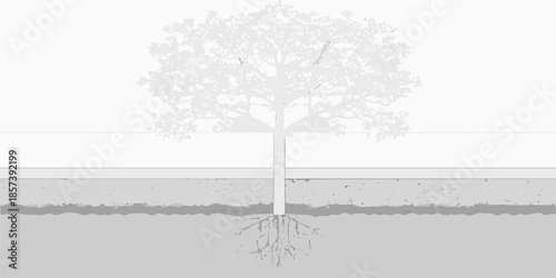A grayscale illustration of a tree with visible roots and a ground section