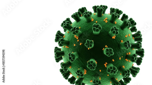 Billede på lærred Green coronavirus virion isolated PNG, detailed microscopic view of infectious v