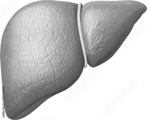 black and white fabric texture