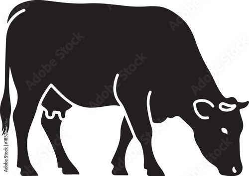 Black cow silhouette grazing peacefully