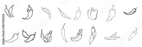Hand drawn line art illustration of multiple chili peppers