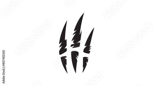 Black Claw Marks on White Background