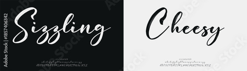 Script font alphabet uppercase lowercase and number. Classic lettering minimal fashion designs. Typography modern serif fonts regular decorative vintage concept. Vector illustration
