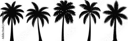 A Set of Five Detailed Black Silhouettes of Palm Trees with Varied Frond Arrangements and Trunk Heights, Isolated on a White Background.