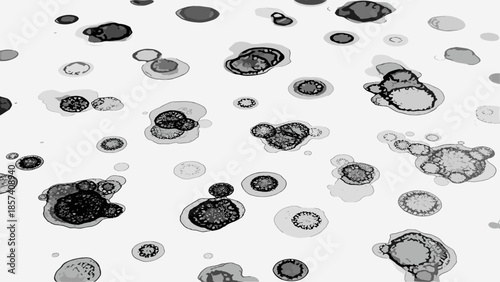 Black and White Water Droplets on Surface.