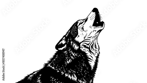Black and White Wolf Howling Illustration.