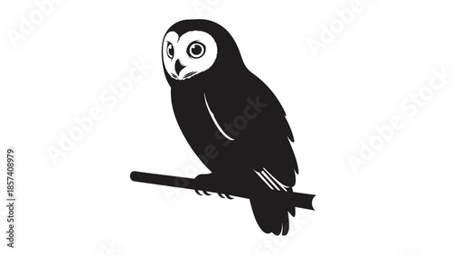 Black Barn Owl Silhouette on Branch.