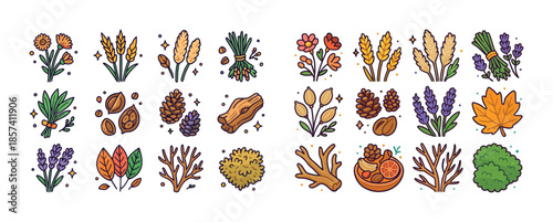 Colorful autumn botanicals: leaves, flowers, and pine cones coll