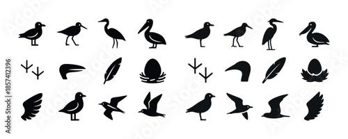 Silhouette collection of coastal birds from seagulls to pelicans