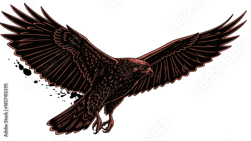 Black Eagle Flying with Spread Wings 1.