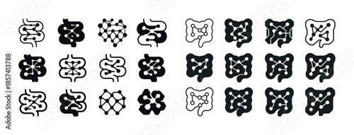 Evolution of human gut microbiome: diversity in molecular struct