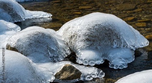 Ice-covered rocks in a shallow stream. Frozen water forms textured mounds atop rocks. Sunlight illuminates the icy formations